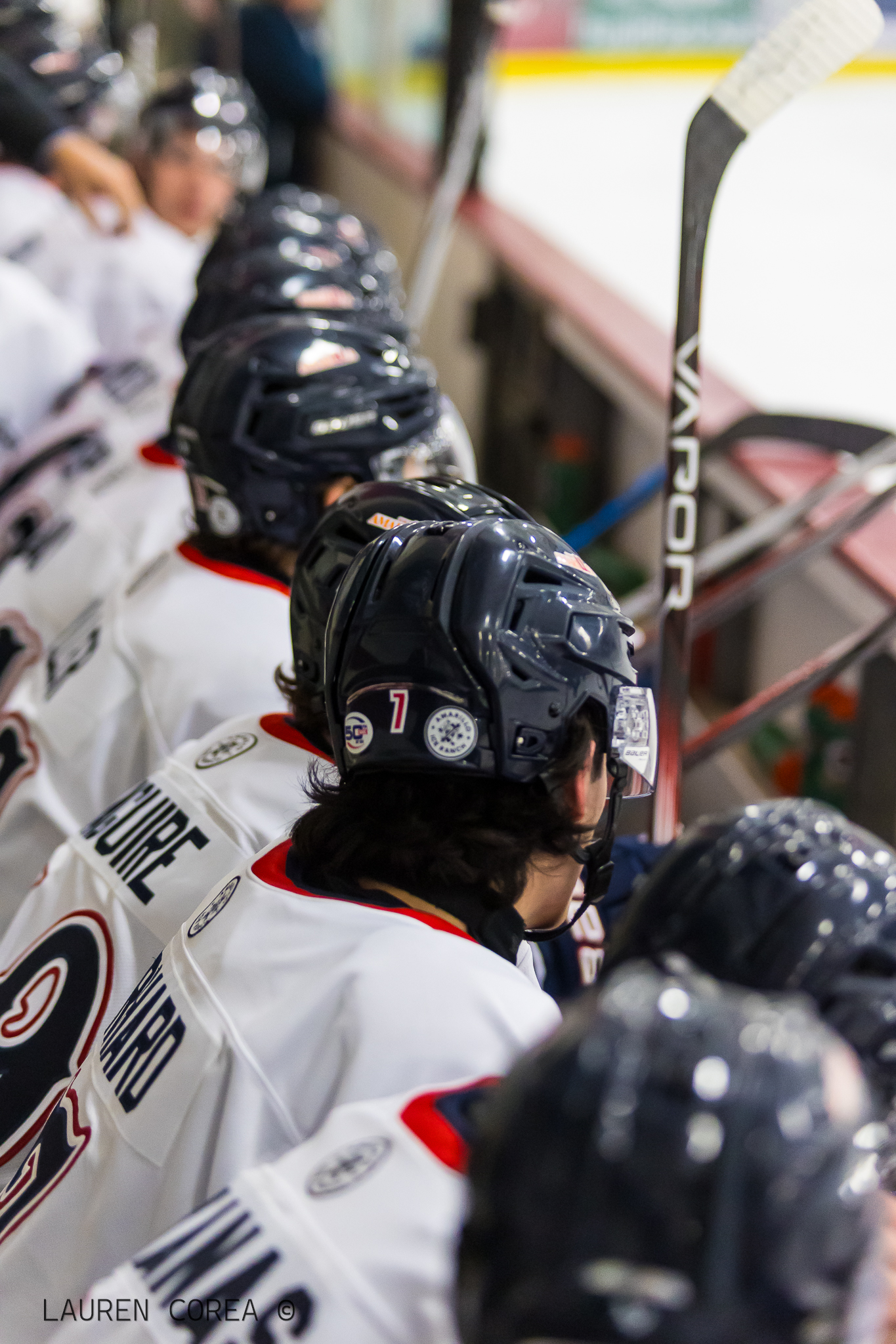 Photo By Lauren Corea